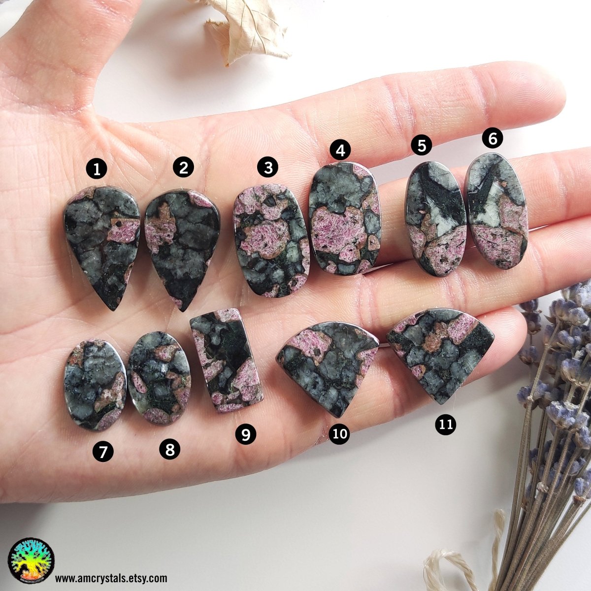 Natural Eudialyte Gemstone Cabochons - Anima Mundi Crystals