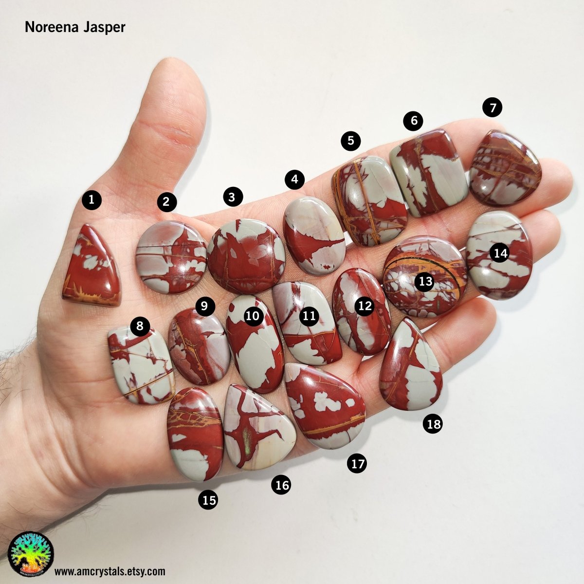 Noreena Jasper Mix Shape Cabochons - Anima Mundi Crystals