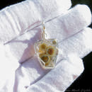 Ocean Jasper Silver Wire Wrapped Necklace - Anima Mundi Crystals