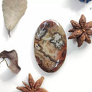 Oval Crazy Lace Agate Cabochon - Anima Mundi Crystals