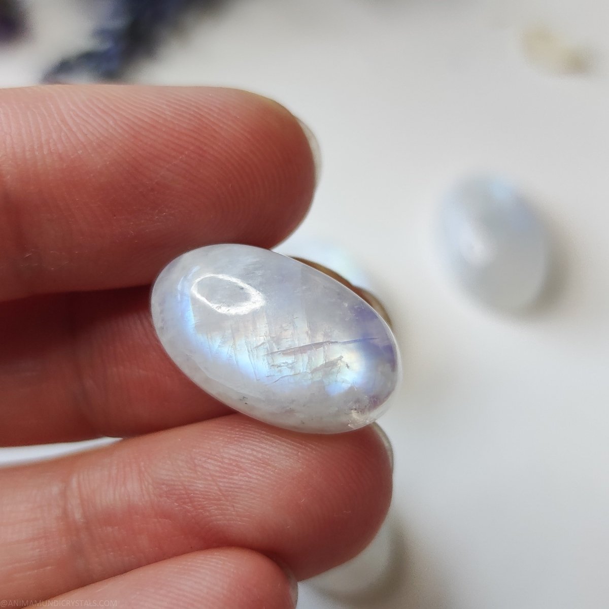 Oval Moonstone Cabochon N.2 - Anima Mundi Crystals