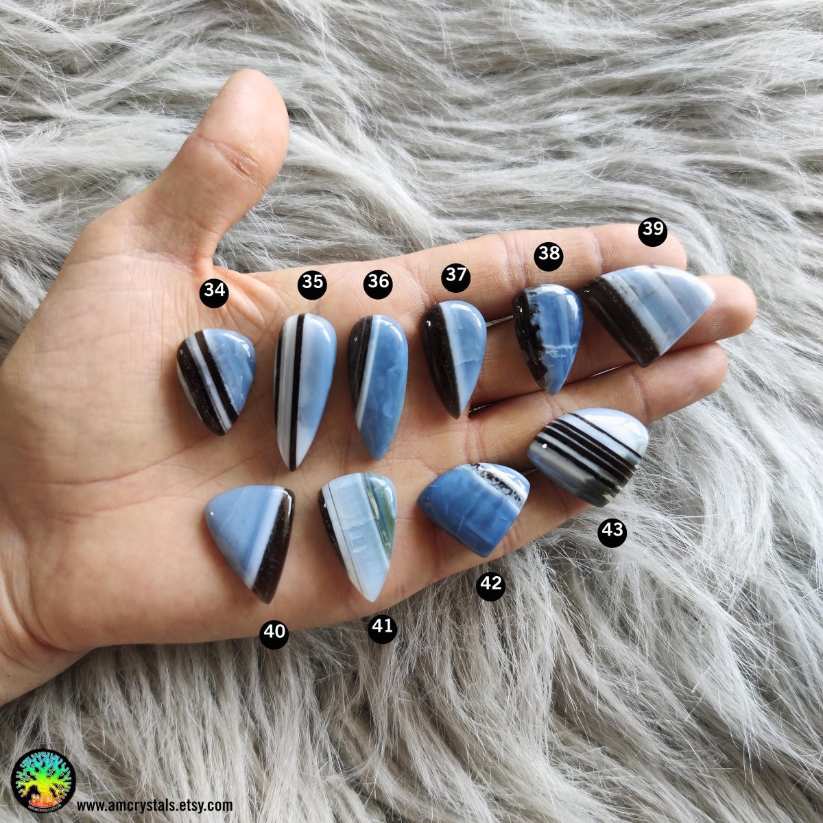 Owyhee Blue Opal Mix Shapes Gemstones - Anima Mundi Crystals