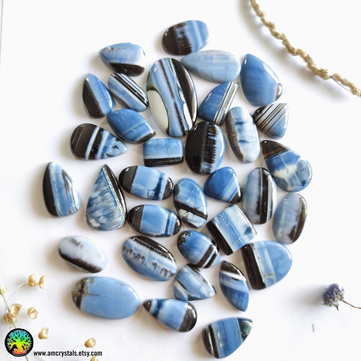 Owyhee Blue Opal Mix Shapes Gemstones - Anima Mundi Crystals