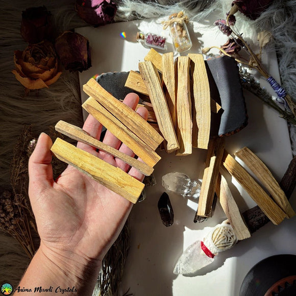 Palo Santo Sticks - Anima Mundi Crystals