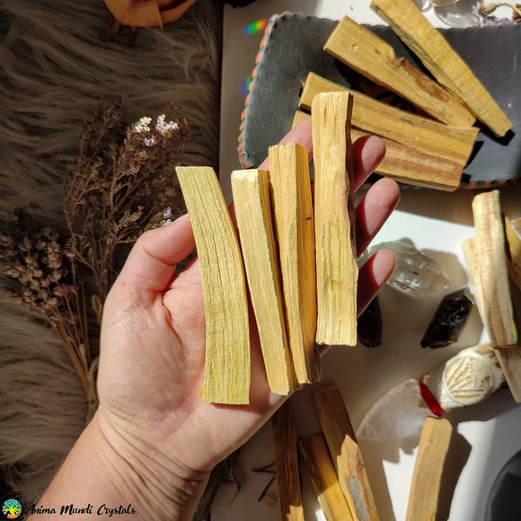 Palo Santo Sticks - Anima Mundi Crystals