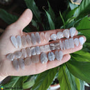 Peach Grey Moonstone Pair Cabochon nr1 - Anima Mundi Crystals