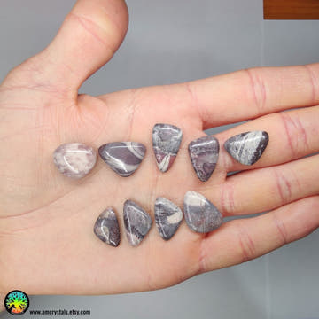 Porcelain Jasper Mix Shapes Cabochons - Anima Mundi Crystals