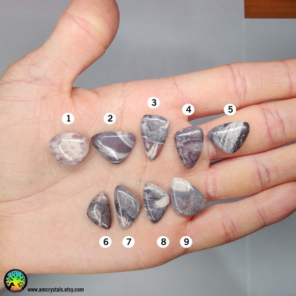 Porcelain Jasper Mix Shapes Cabochons - Anima Mundi Crystals