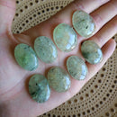 Prehnite Cabochon lot of 8 pieces P37-P44 - Anima Mundi Crystals