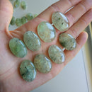 Prehnite Cabochon lot of 8 pieces P37-P44 - Anima Mundi Crystals