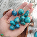 Premium Tumbled Chrysocolla - Anima Mundi Crystals
