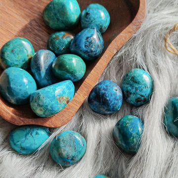 Premium Tumbled Chrysocolla - Anima Mundi Crystals
