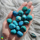 Premium Tumbled Chrysocolla - Anima Mundi Crystals