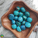 Premium Tumbled Chrysocolla - Anima Mundi Crystals