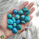 Premium Tumbled Chrysocolla - Anima Mundi Crystals