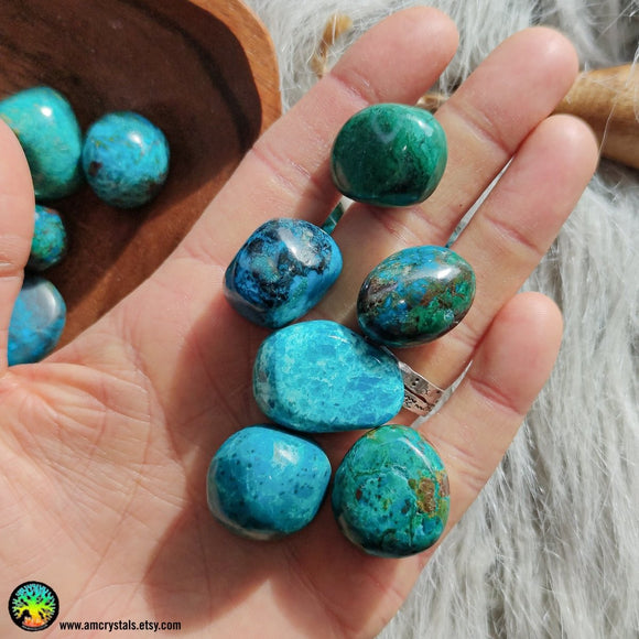 Premium Tumbled Chrysocolla - Anima Mundi Crystals