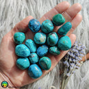 Premium Tumbled Chrysocolla - Anima Mundi Crystals