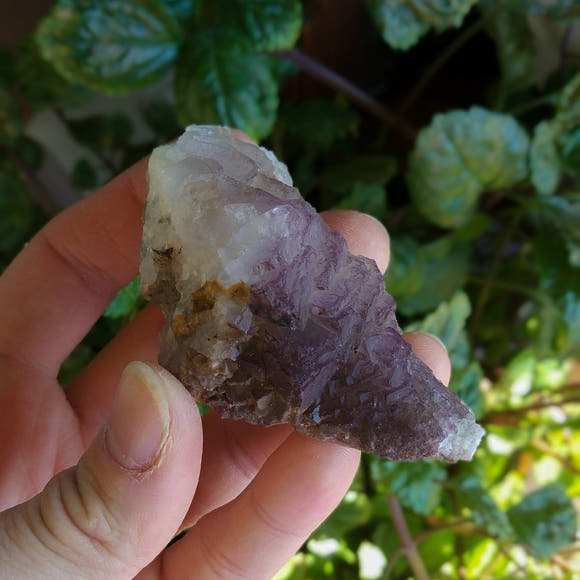 Purple Fluorite Cluster Specimen - Anima Mundi Crystals