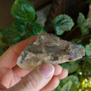 Purple Fluorite Cluster Specimen - Anima Mundi Crystals