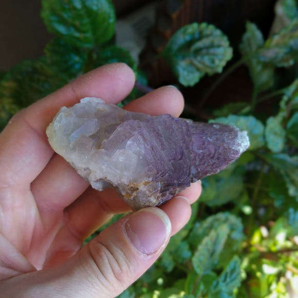 Purple Fluorite Cluster Specimen - Anima Mundi Crystals