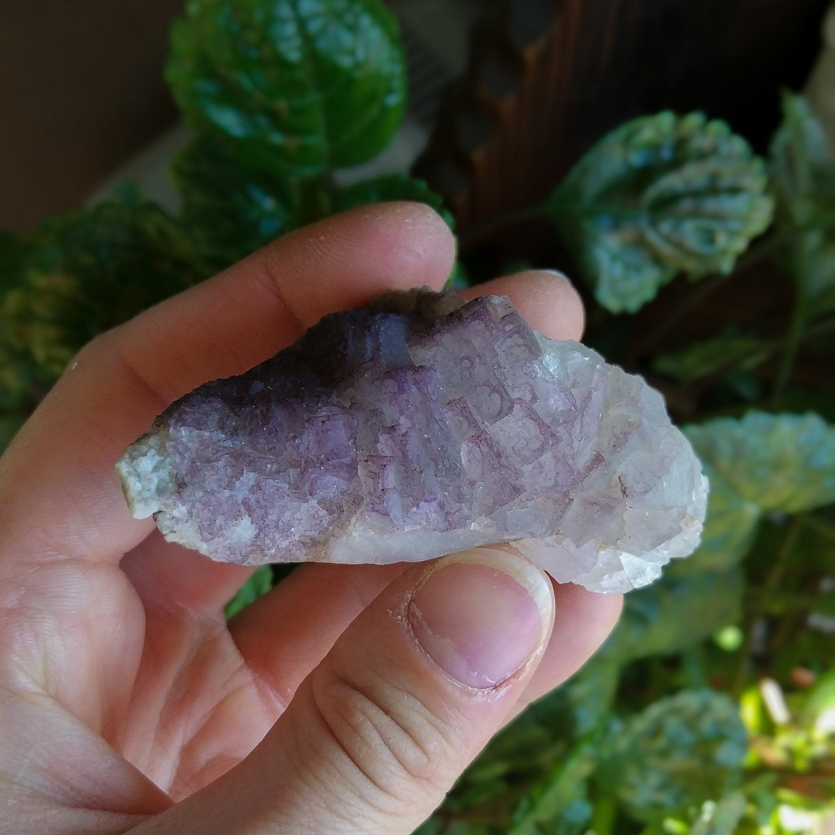Purple Fluorite Cluster Specimen - Anima Mundi Crystals