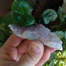 Purple Fluorite Cluster Specimen - Anima Mundi Crystals