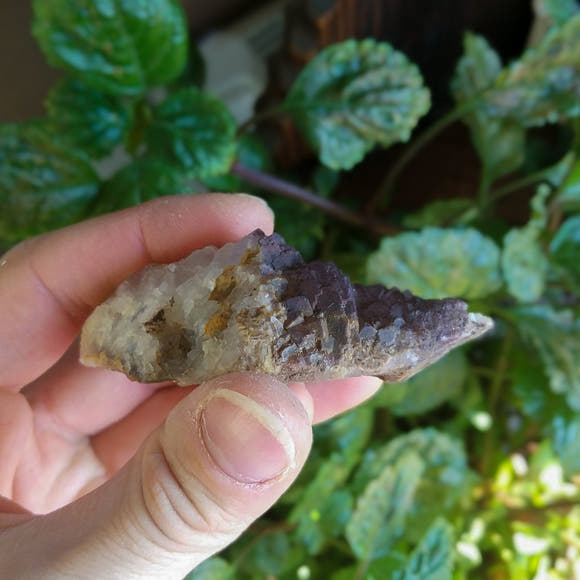 Purple Fluorite Cluster Specimen - Anima Mundi Crystals