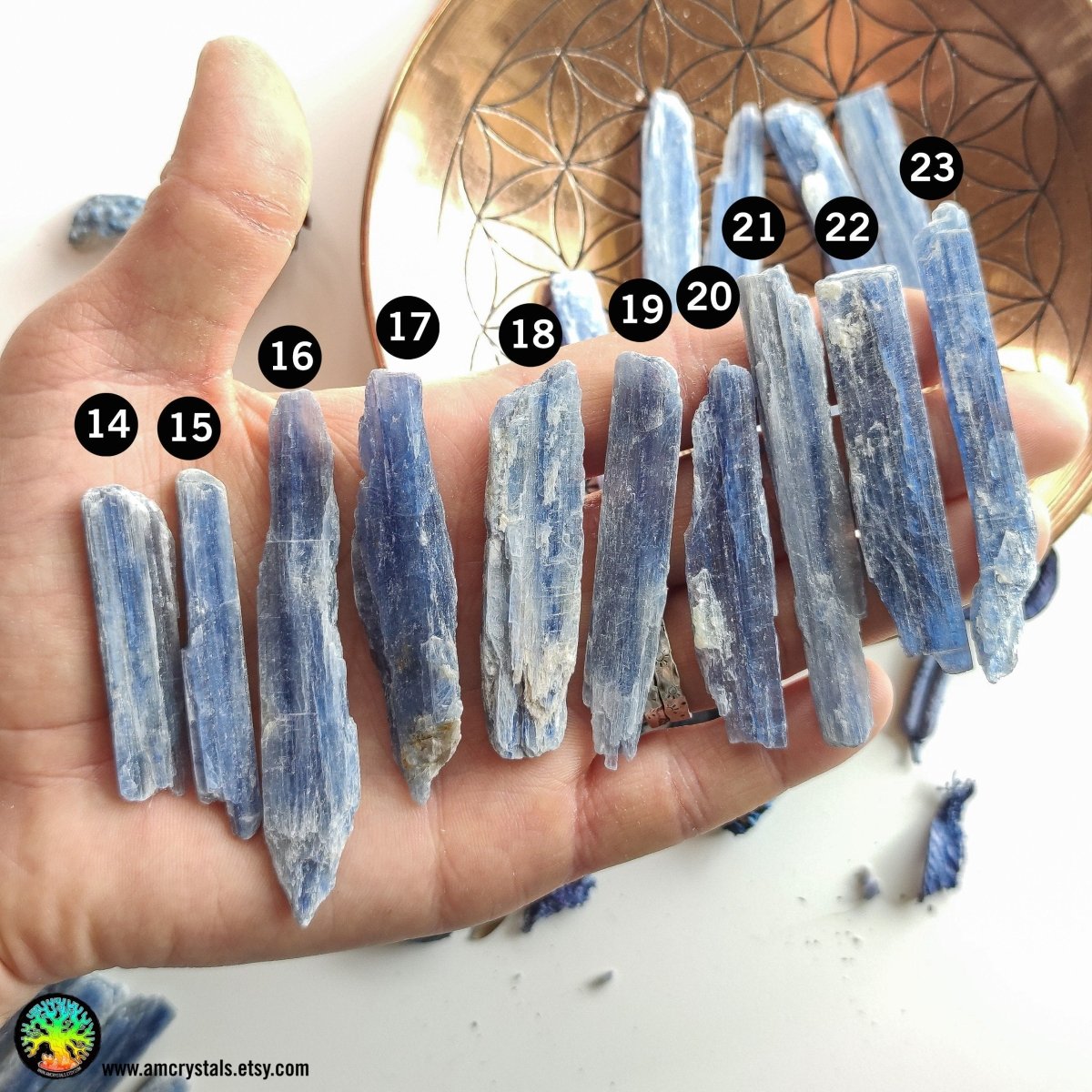 Cuchillas de cianita azul cruda - Cristales Anima Mundi