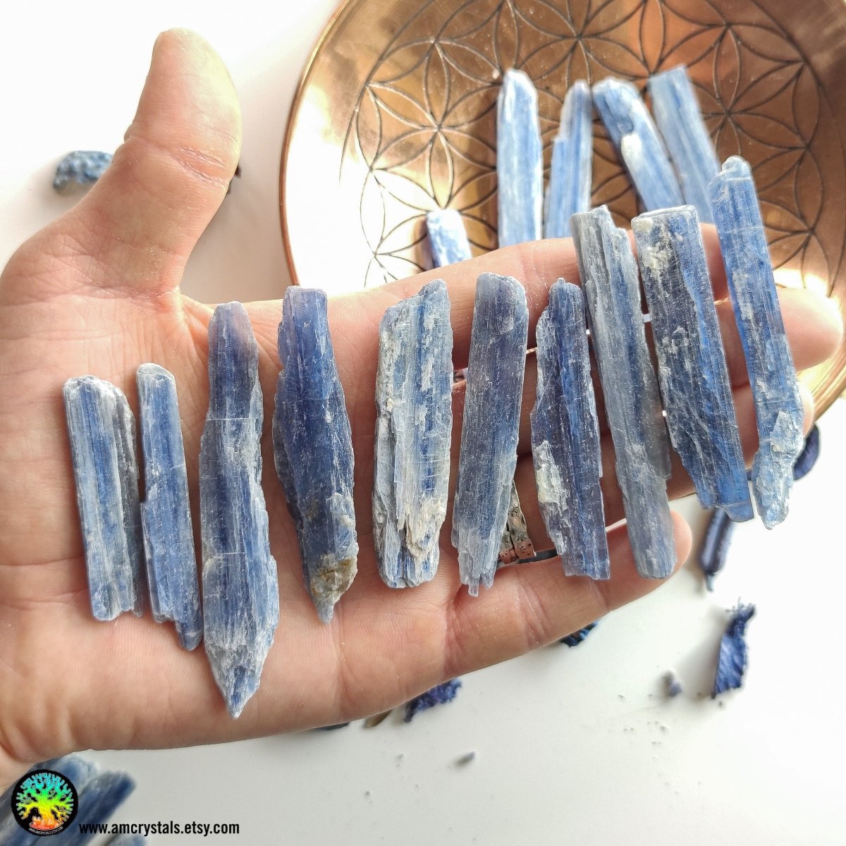Cuchillas de cianita azul cruda - Cristales Anima Mundi