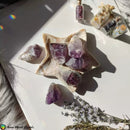 Raw Chevron Amethyst Points - Anima Mundi Crystals