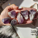 Raw Chevron Amethyst Points - Anima Mundi Crystals