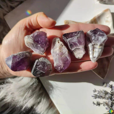 Raw Chevron Amethyst Points - Anima Mundi Crystals