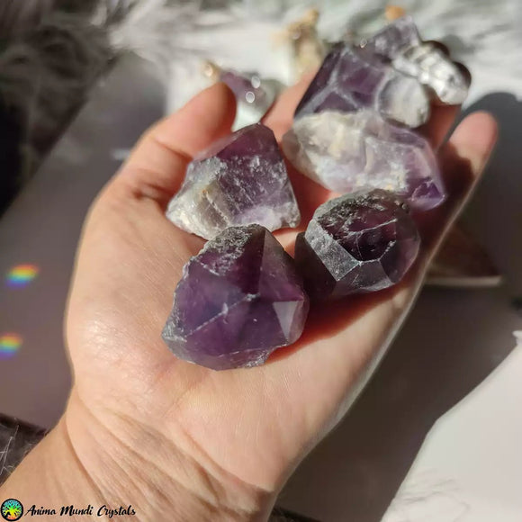 Raw Chevron Amethyst Points - Anima Mundi Crystals