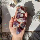 Raw Chevron Amethyst Points - Anima Mundi Crystals