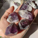 Raw Chevron Amethyst Points - Anima Mundi Crystals