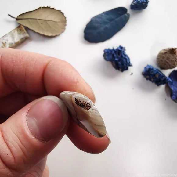 Rectangle Crazy Lace Agate Cabochon 1-2 - Anima Mundi Crystals