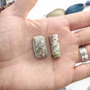 Rectangle Crazy Lace Agate Cabochon 1-2 - Anima Mundi Crystals