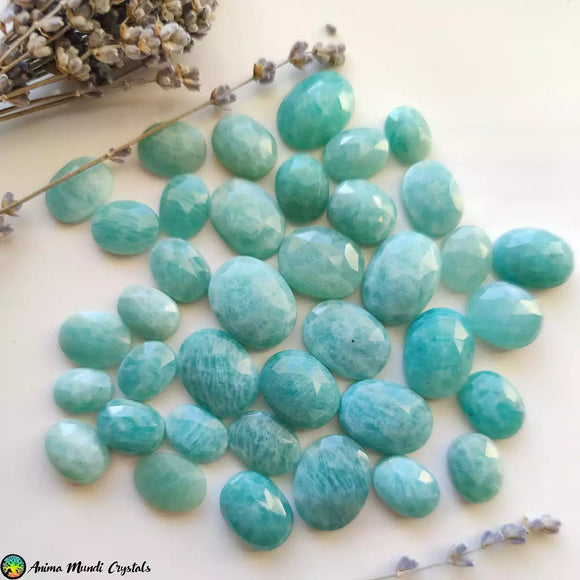 Rose Cut Amazonite Cabochon Nr.13-38 - Anima Mundi Crystals