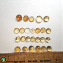 Round Citrine Cabochon 10-12mm - Anima Mundi Crystals