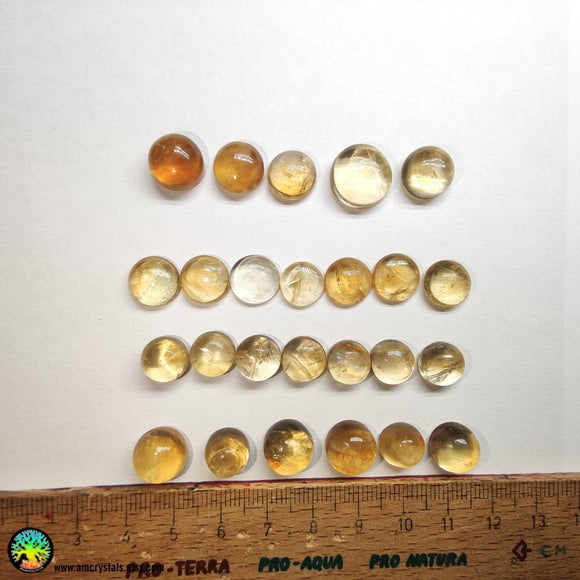 Round Citrine Cabochon 10-12mm - Anima Mundi Crystals