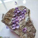 Round Faceted 5mm Amethyst - Anima Mundi Crystals