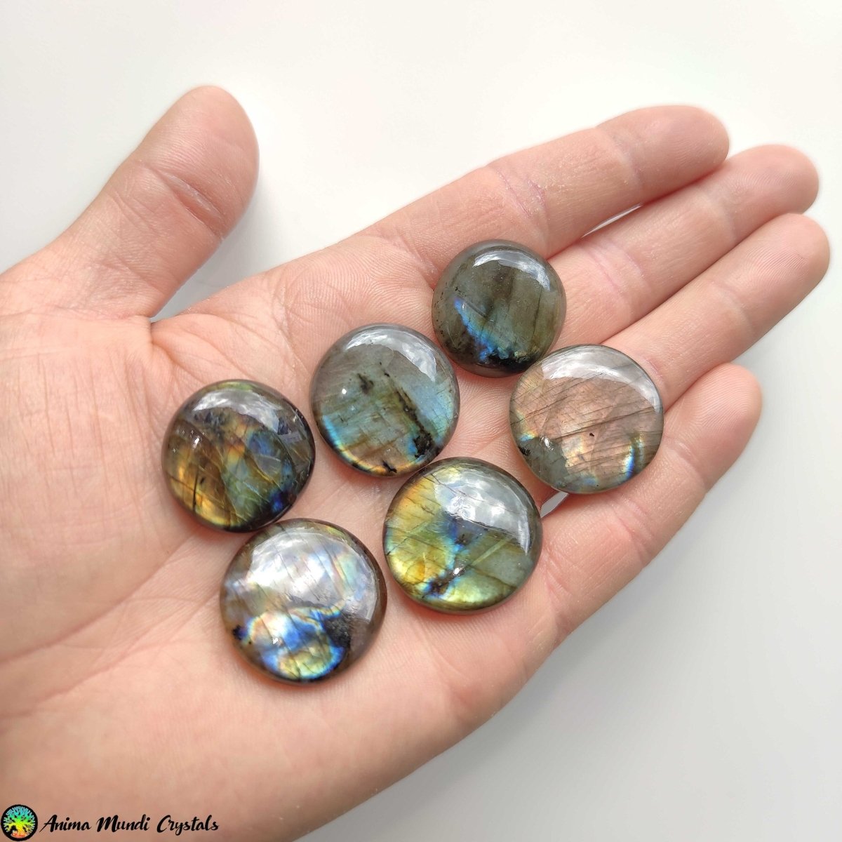 Round Labradorite Cabochons - Anima Mundi Crystals