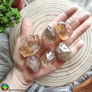 Rutilated Quartz Tumbled Pocket Stone - Anima Mundi Crystals