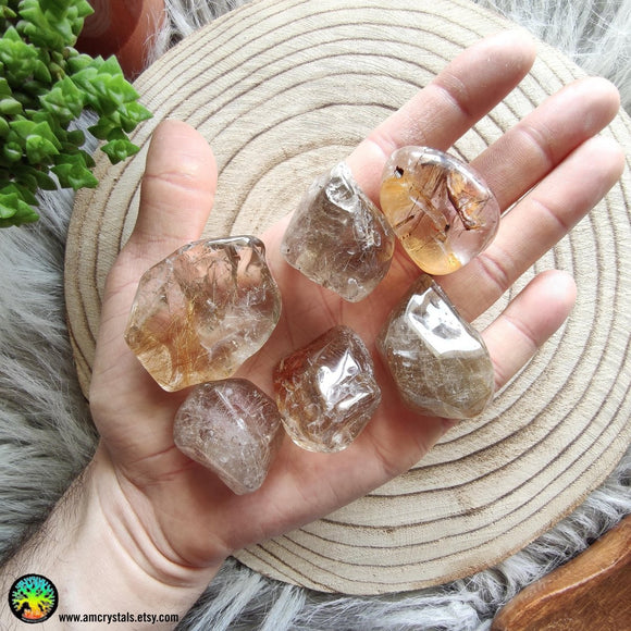 Rutilated Quartz Tumbled Pocket Stone - Anima Mundi Crystals