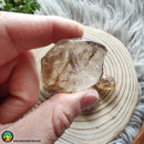 Rutilated Quartz Tumbled Pocket Stone - Anima Mundi Crystals