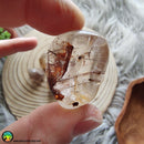 Rutilated Quartz Tumbled Pocket Stone - Anima Mundi Crystals