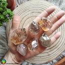 Rutilated Quartz Tumbled Pocket Stone - Anima Mundi Crystals