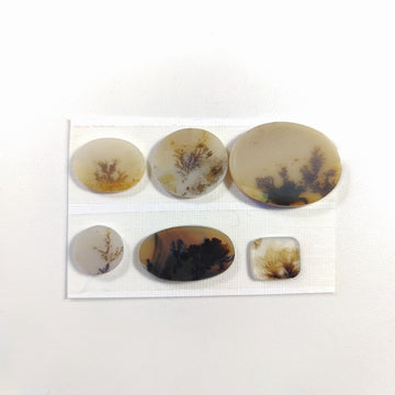 Scenic Agate Cabochon nr.1 - Anima Mundi Crystals