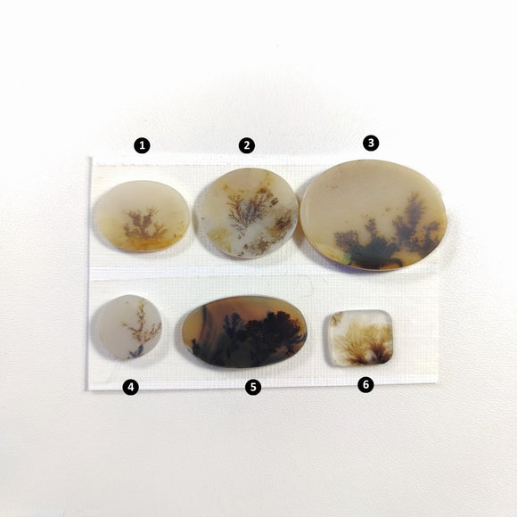 Scenic Agate Cabochon nr.1 - Anima Mundi Crystals