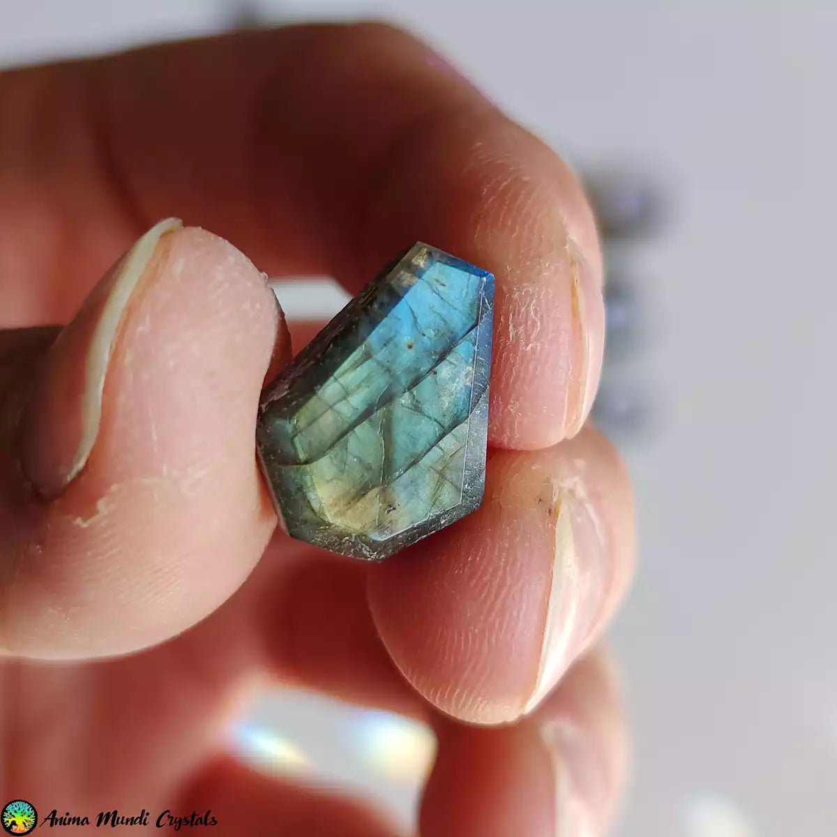 Small Labradorite Coffin Cabochons - Anima Mundi Crystals